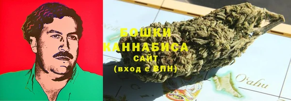 шишки Абаза