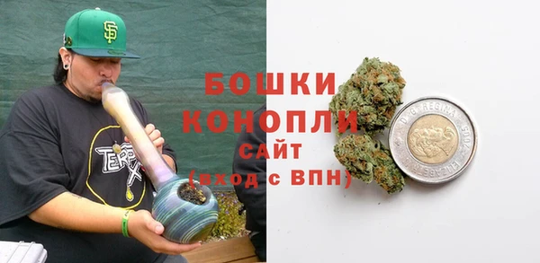 шишки Абаза