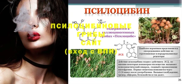 хмурый Алексин