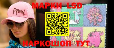 амф Владимир