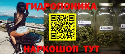 амф Владимир