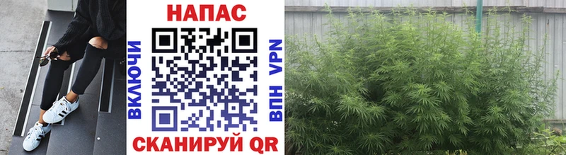 hydra tor  Морозовск  Бошки Шишки White Widow 
